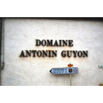 Domaine Antonin Guyon