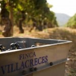 Finca Villacreces