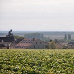 About Domaine Latour-Giraud