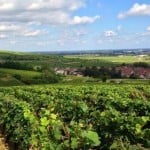 Vallouit