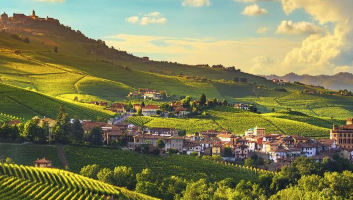 The King of Wines: A Classic Barolo Collection