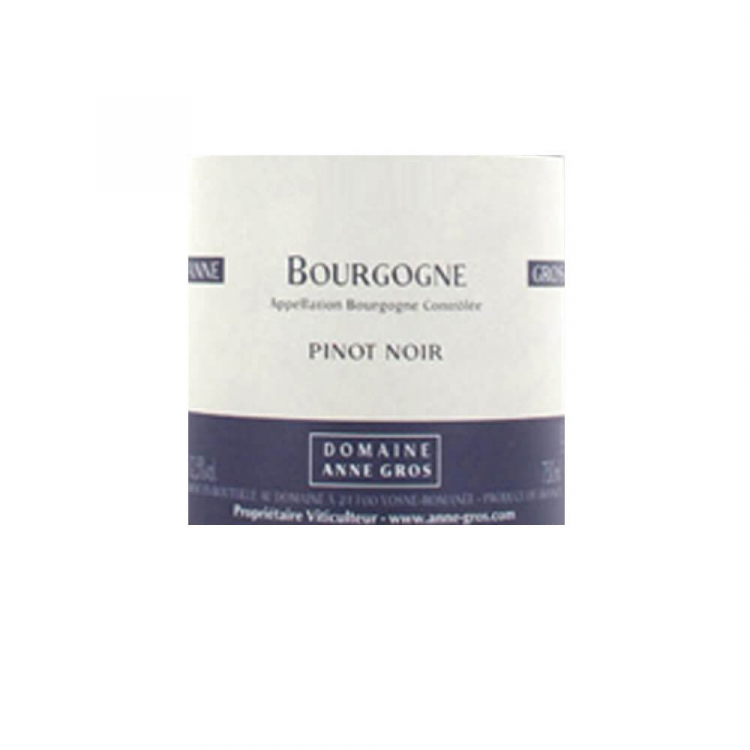 Anne Gros Bourgogne Pinot Noir 2021 (6x75cl)