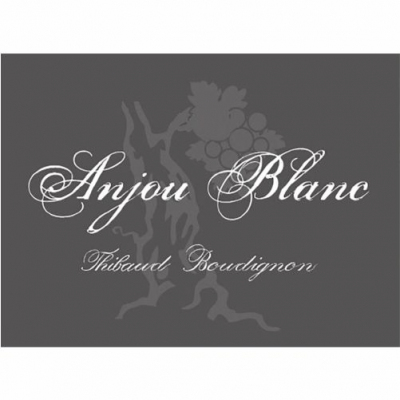 Thibaud Boudignon Anjou Blanc 2021 (12x75cl)