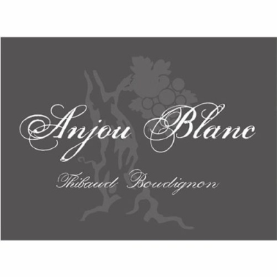Thibaud Boudignon Anjou Blanc 2022 (6x75cl)