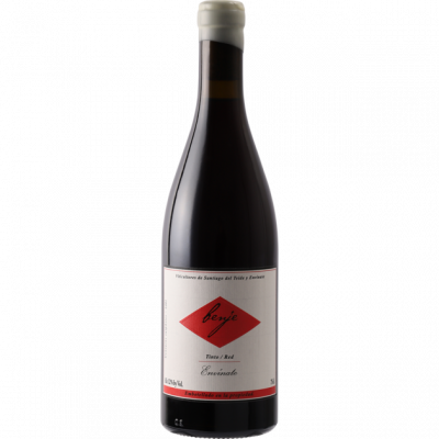 Envinate Benje Tinto 2018 (6x75cl)