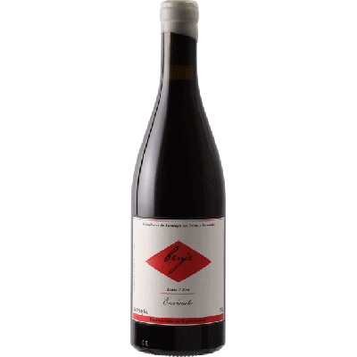 Envinate Benje Tinto 2018 (1x75cl)