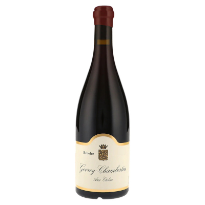 William Kelley Gevrey-Chambertin Aux Etelois 2022 (1x75cl)