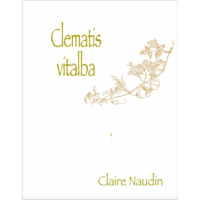 Henri Naudin Ferrand (Claire Naudin) Hautes Cotes de Nuits Clematis Vitalba 2021 (1x75cl)