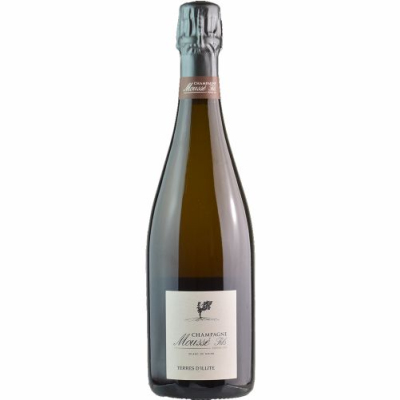 Mousse Fils Terre d'Illite Extra Brut 2019 (6x75cl)