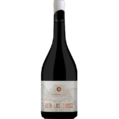 El Porvenir Alto Los Cuises Malbec 2019 (3x75cl)