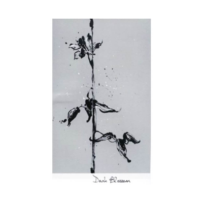 Sine Qua Non Syrah/Grenache Dark Blossom 2011 (12x75cl)