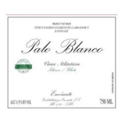 Envinate Palo Blanco 2021 (1x75cl)