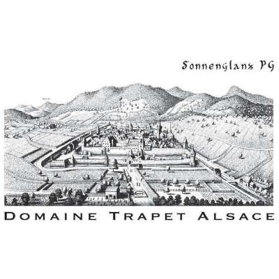 Trapet Pinot Gris Sonnenglanz 2015 (6x75cl)