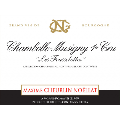Georges Noellat Chambolle-Musigny 1er Cru Les Feusselottes 2020 (6x75cl)