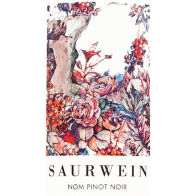 Saurwein Nom Pinot Noir 2022 (1x75cl)