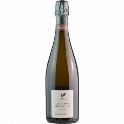 Mousse Fils Terre d'Illite Extra Brut 2014 (1x75cl)