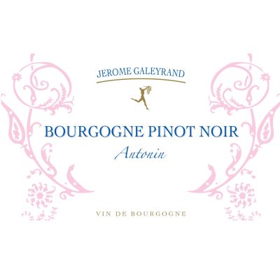 Jerome Galeyrand Bourgogne Antonin Pinot Noir 2022 (6x75cl)