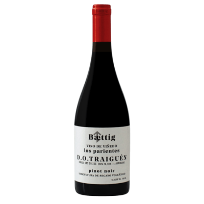 Baettig Vino de Vinedo Los Parientes Pinot Noir 2021 (12x75cl)