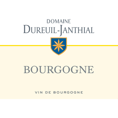 Vincent Dureuil Janthial Bourgogne Blanc 2021 (12x75cl)