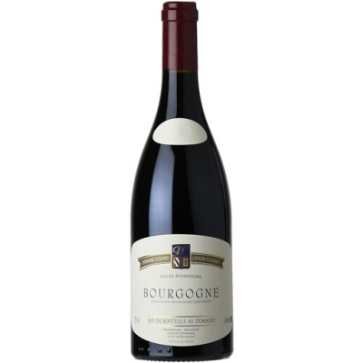 Coquard Loison-Fleurot Bourgogne 2020 (6x75cl)