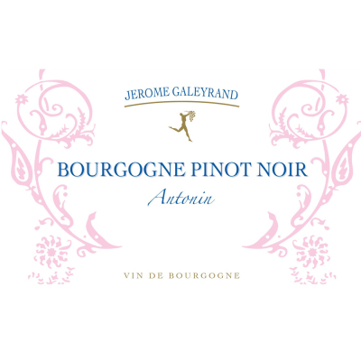 Jerome Galeyrand Bourgogne Antonin Pinot Noir 2021 (1x75cl)