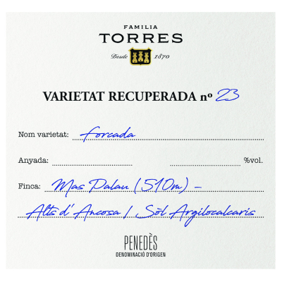 Torres Penedes Forcada 2016 (6x75cl)