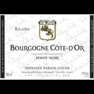 Fabien Coche Bourgogne Cote d'Or 2022 (6x75cl)