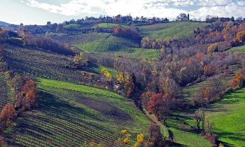 Emilia-Romagna wines and winemaking region