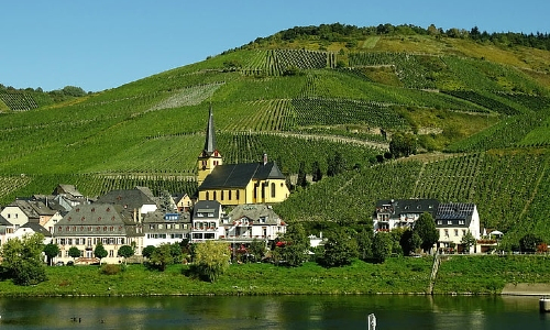 Mosel wines and winemaking region