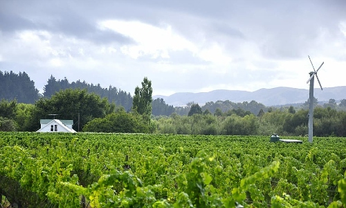 Wairarapa wines and winemaking region
