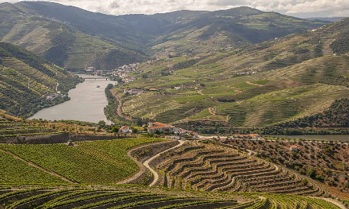 Douro wine and winemaking region home of Port