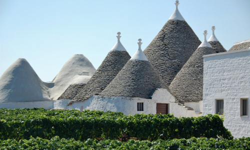 Puglia wines and winemaking region