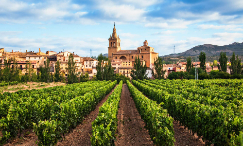 Spanish wines and vineyard in Rioja
