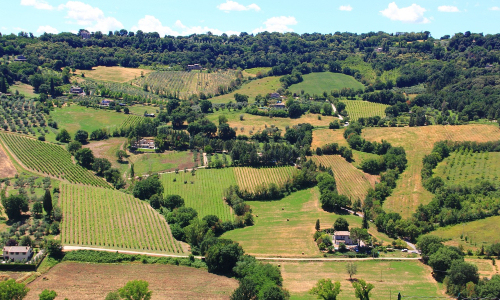 Umbria wines and winemaking region