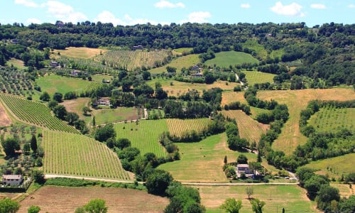 Umbria wines and winemaking region