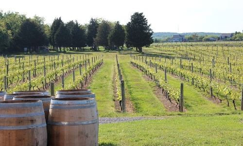 Washington wines and winemaking region