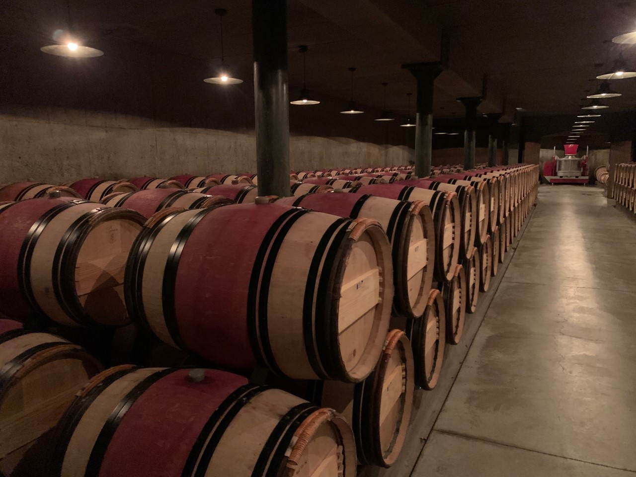 Harlan Estate Wine Cellar