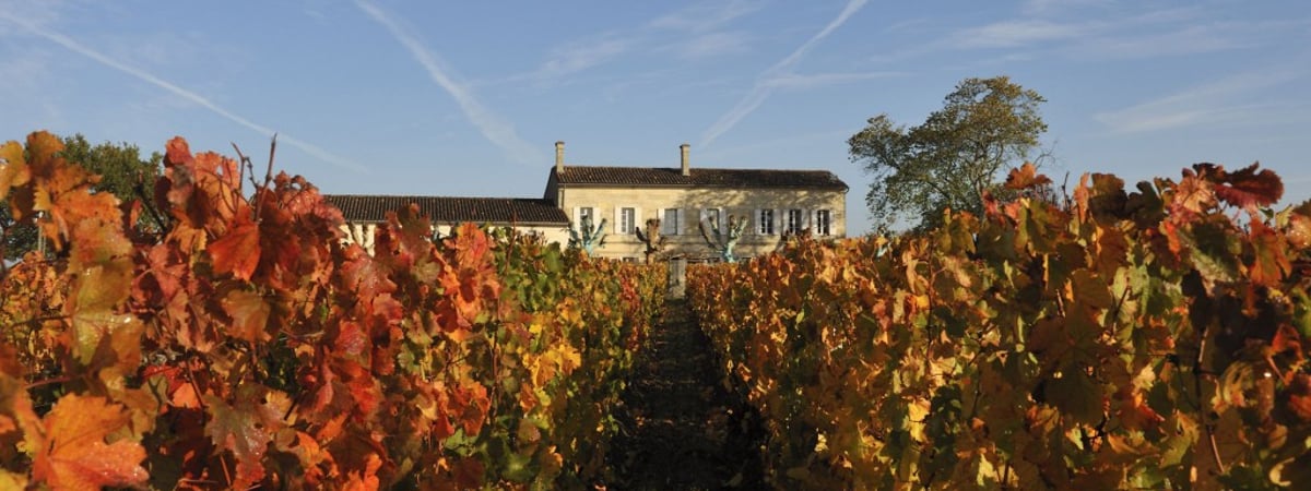 L'Eglise-Clinet 2012: Deeply Undervalued “Wine of the Vintage”