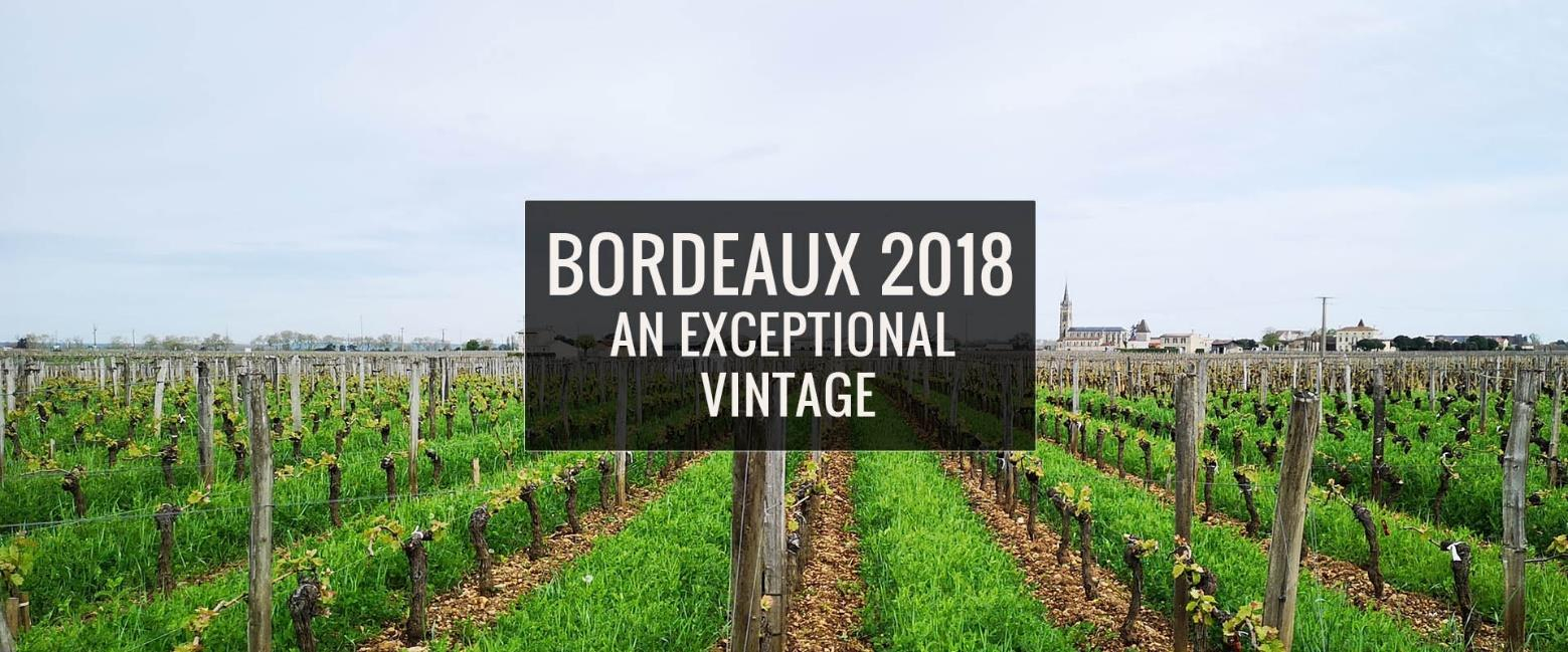 Bordeaux 2018 An Exceptional Vintage