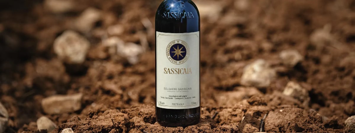 Sassicaia 2019 Investment