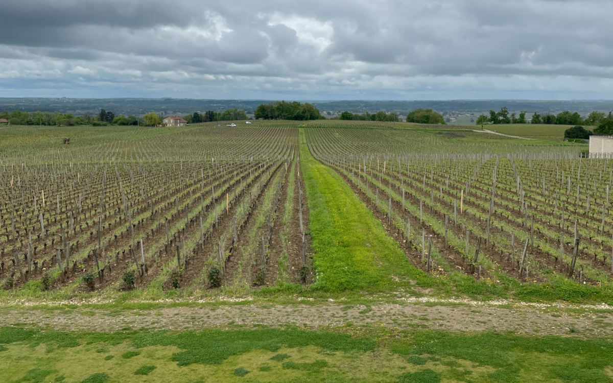 Bordeaux Growing Season