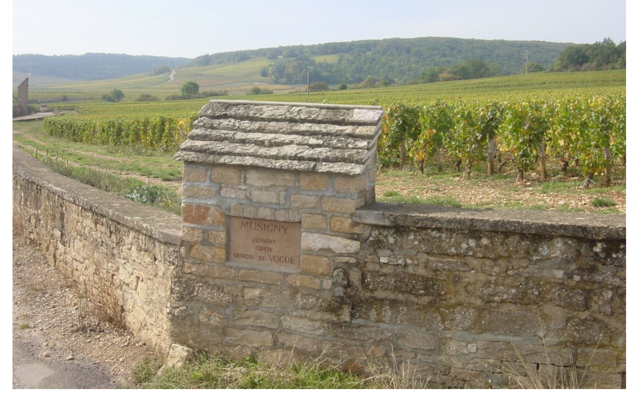 Domaine Comte Georges de Vogue